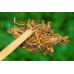Красный чай Золотой бутон Fengqing Big Golden Bud блин 357гр 2020г 